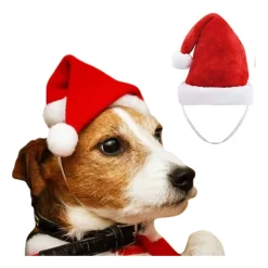 Gorro de Santa Claus