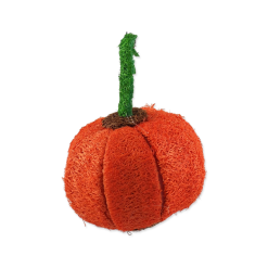 Juguete Loofah Calabaza