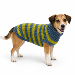 Sweater Wonder XS Azul Amarillo